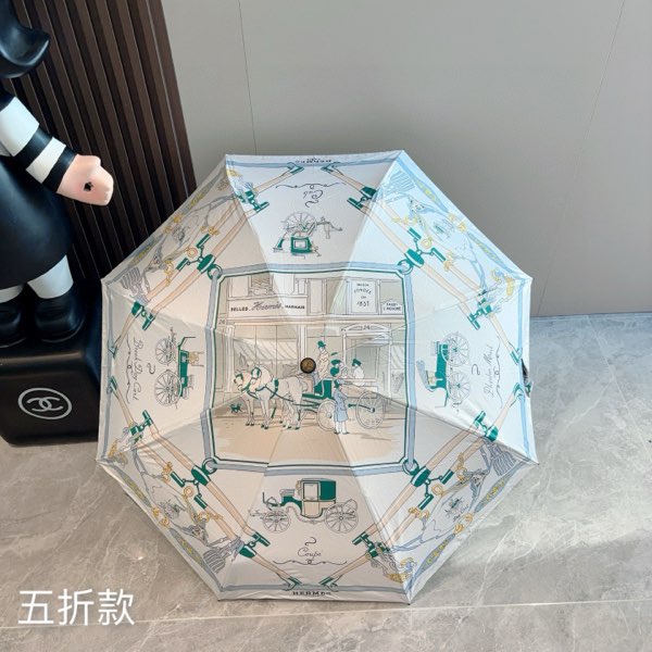 Hermes Umbrella-4